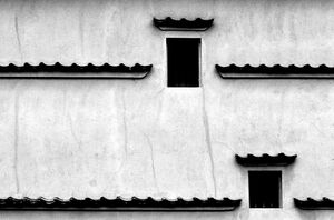 wavy ornaments on wall