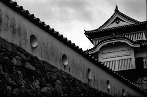 Tower of Bitchu Matsuyama castle