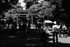 明治神宮の参道を歩く人びと