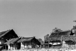 アカ族の村に建つ藁葺き屋根の家