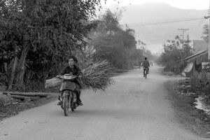 Motorbike running country road with burden