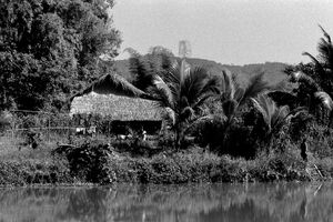 Thatched house near pond