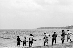 Fishermen dragging fishnet together