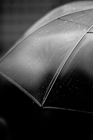 drops on umbrella