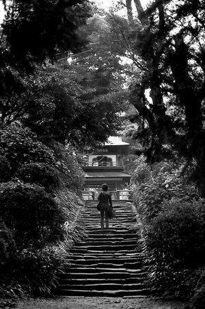 ボロボロの石階段の途中に立つ女性