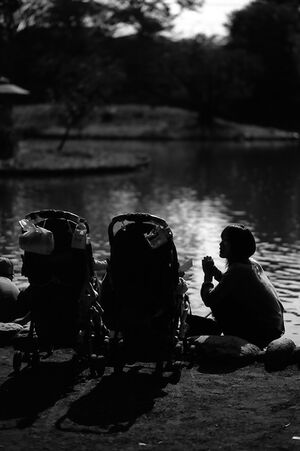 Silhouettes of mother and baby buggy