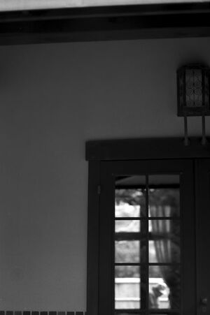glass door of old house