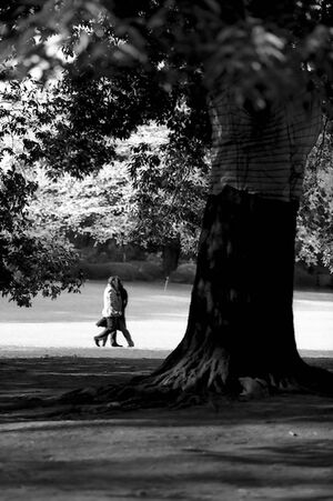 Couple on other side of tree