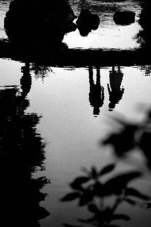 Figures reflected on pond