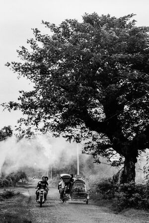 Tricycle and motorbike passing by tall tree