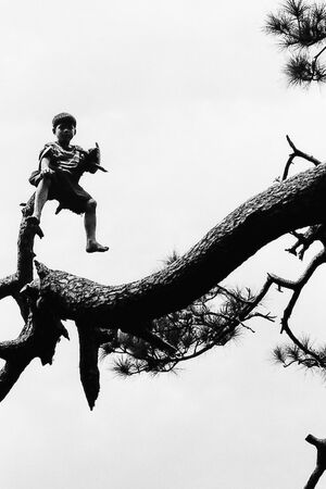 Boy climbing tree