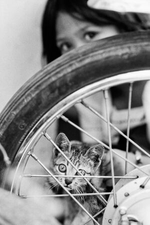 Girl showing cat through wheel