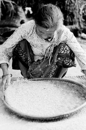 米粒を選る老婆