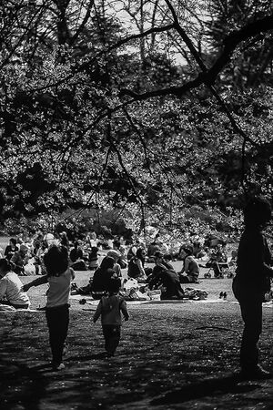 People enjoying picnic in Shinjuku Gyoen Park