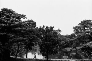 Woman walking path