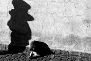 Shadow of boy and cat