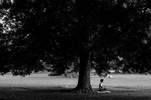 man playing under the tree