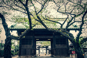 祐天寺の仁王門