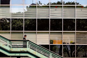 Figure descending footbridge
