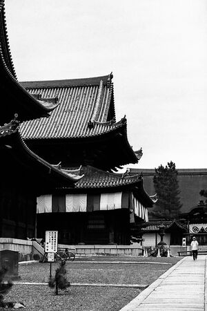 妙心寺の境内