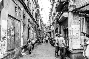 Tranquil street in Kolkata