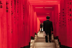 Businessman descending stairs covered with torii
