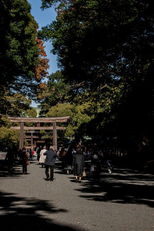 参道の先に見える鳥居