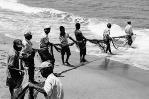 網を引く漁師たち