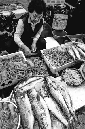 束草の魚市場で働く女