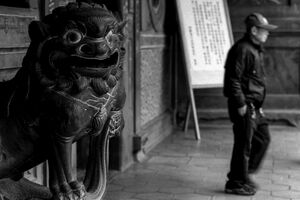 Guardian dog in Baoan Temple