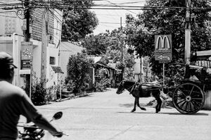 Horse cart passing by signboard of McDonald's