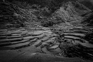 Rice terraces in Maligcong