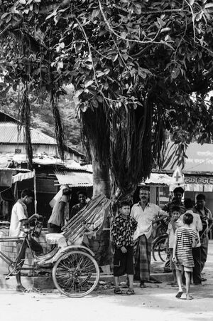 Locals hanging out under big tree