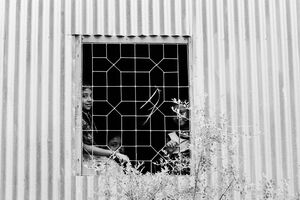 Three boys on the other side of window