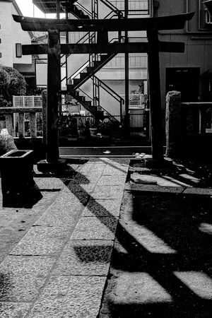 Torii in Tohkamori Inari