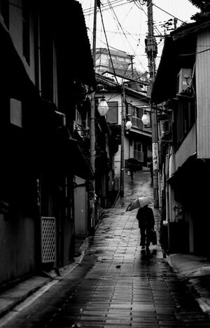 Umbrella in wet lane