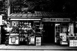 Old-fashioned shop in Ueno Park