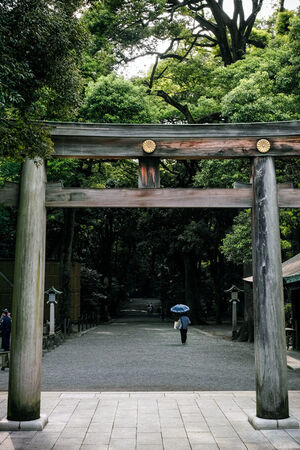 Umbrella on other side of Torii