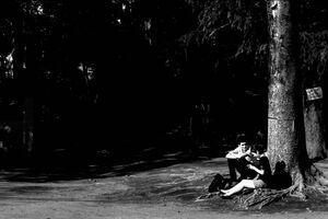 木の根元に座るカップル