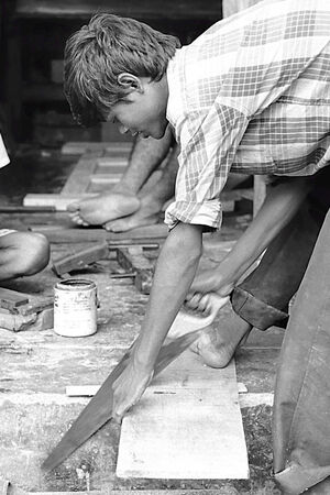 Young man sawing