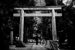 薄暗い中に立つ鳥居