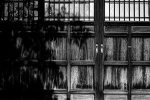 Shadows on wooden door