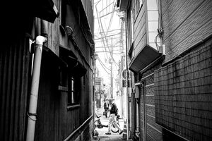 谷中の路地
