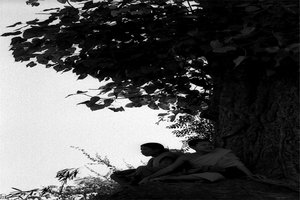 大きな木の根元で休む僧侶