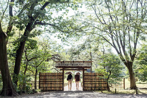 Umbrellas passing through gate