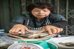 Woman weighing fishes with a weighing machine