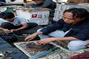 Man selling frogs in the market