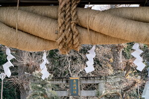 Thick shimenawa (sacred rope) at Akagi Shrine