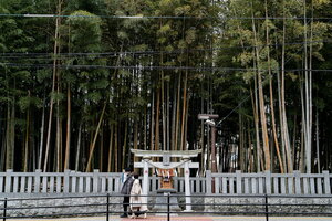 Shirazunomori Shrine at Yawata no Yabushirazu