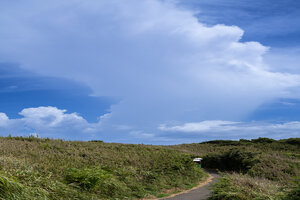 Hiking Trail on Jogashima